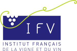 IFV-logo-quadri