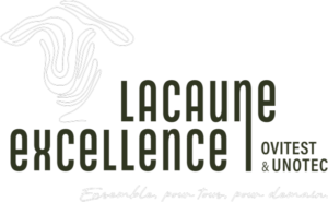 logo (1)